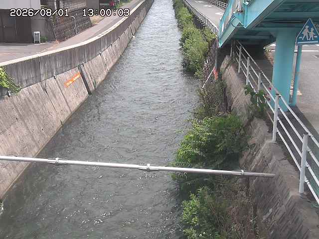 大井手川１2026/08/01 20:50:00