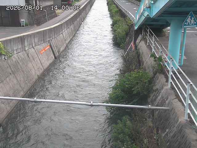 大井手川１2026/08/01 20:50:00