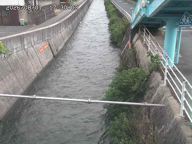 大井手川１2026/08/01 20:50:00