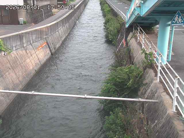 大井手川１2026/08/01 20:50:00