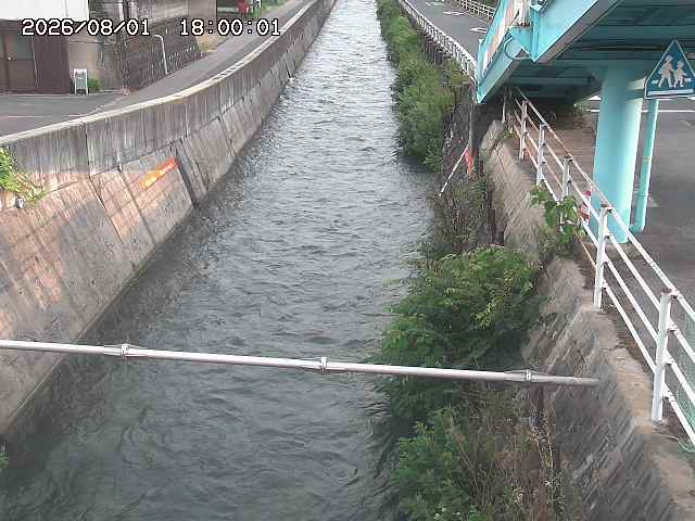 大井手川１2026/08/01 20:50:00