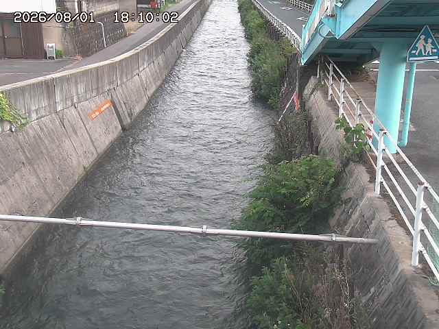 大井手川１2026/08/01 20:50:00