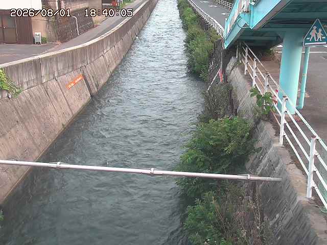 大井手川１2026/08/01 20:50:00