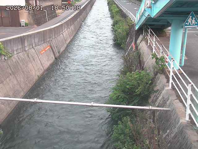 大井手川１2026/08/01 20:50:00