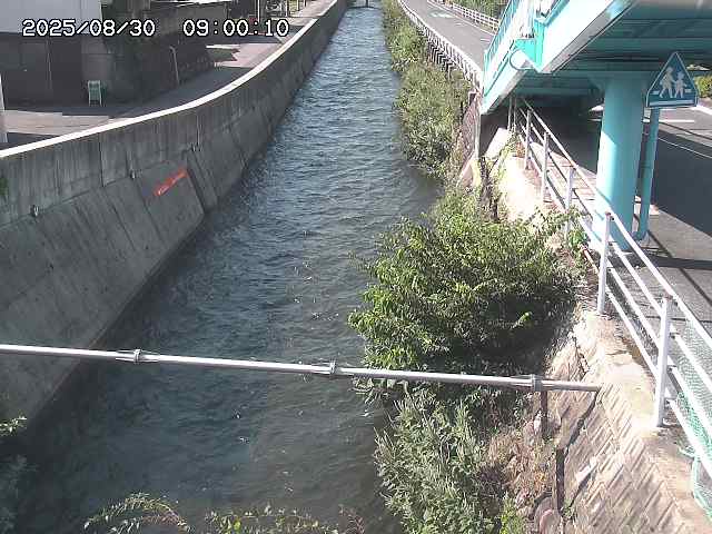 大井手川１2025/08/31 9:00:00