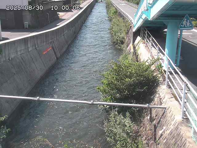 大井手川１2025/08/31 9:00:00