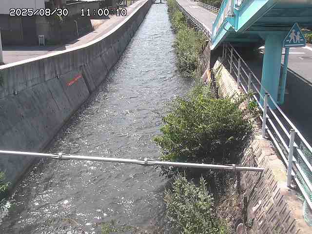 大井手川１2025/08/31 9:00:00