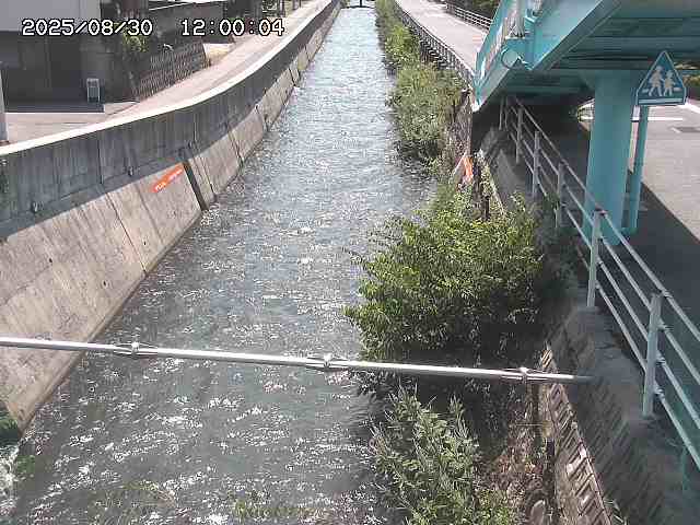 大井手川１2025/08/31 9:00:00