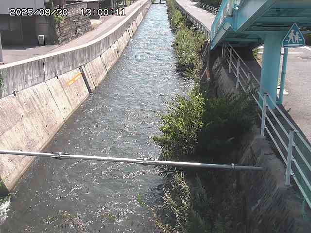 大井手川１2025/08/31 9:00:00