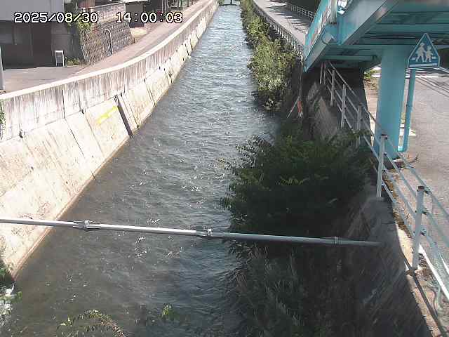 大井手川１2025/08/31 9:00:00