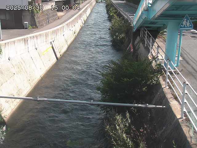 大井手川１2025/08/31 9:00:00