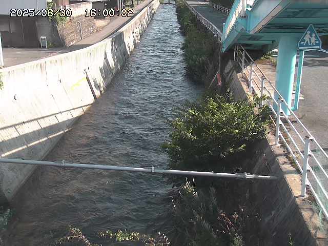 大井手川１2025/08/31 9:00:00