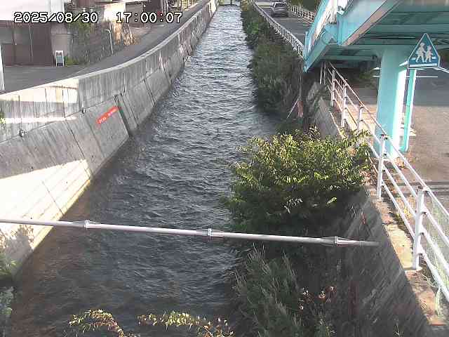 大井手川１2025/08/31 9:00:00