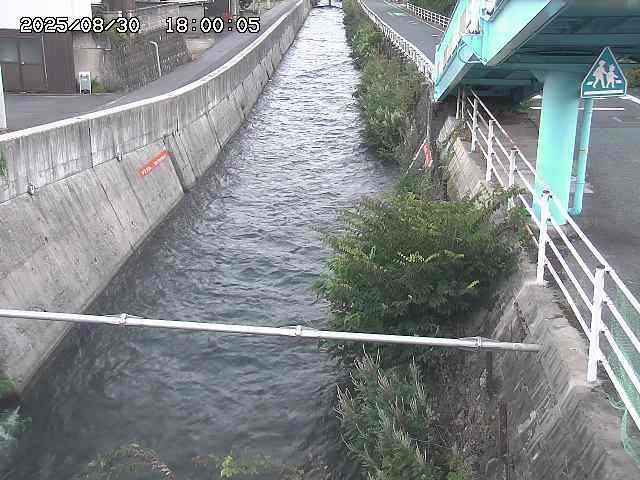 大井手川１2025/08/31 9:00:00