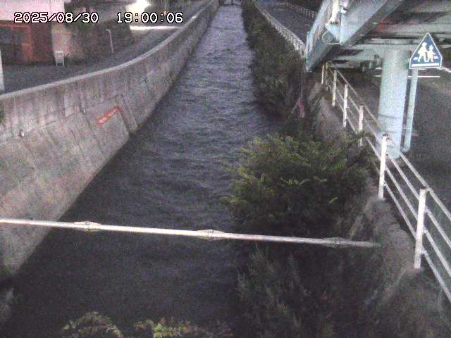大井手川１2025/08/31 9:00:00