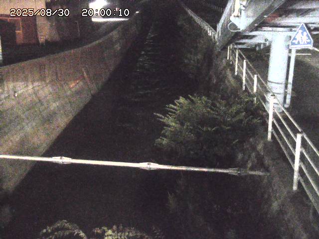 大井手川１2025/08/31 9:00:00