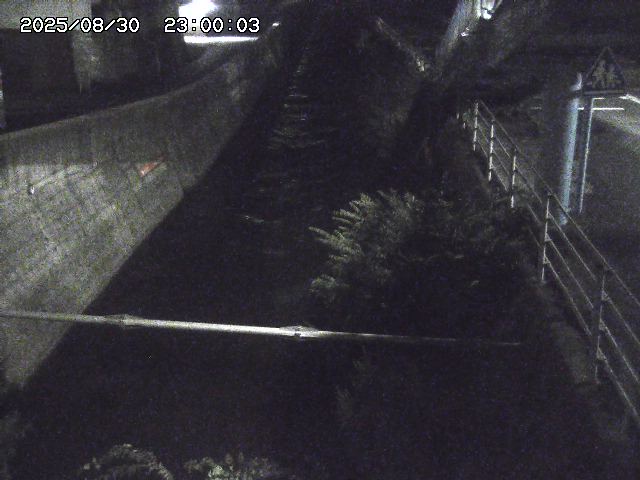 大井手川１2025/08/31 9:00:00