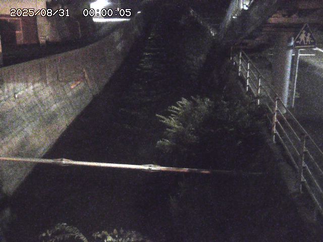 大井手川１2025/08/31 9:00:00