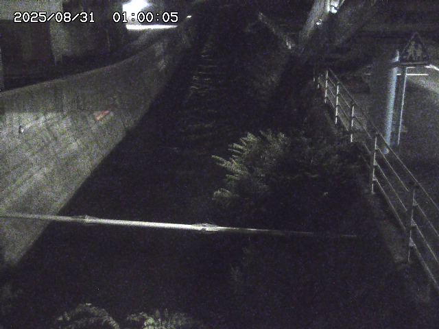 大井手川１2025/08/31 9:00:00