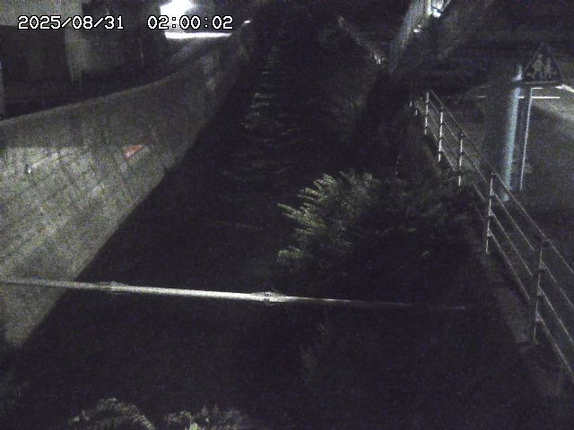 大井手川１2025/08/31 9:00:00