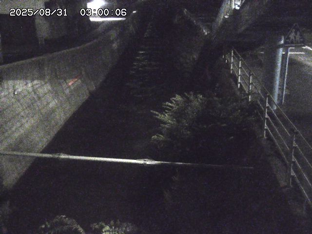 大井手川１2025/08/31 9:00:00