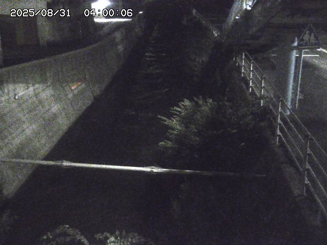 大井手川１2025/08/31 9:00:00