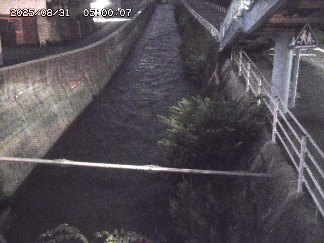 大井手川１2025/08/31 9:00:00