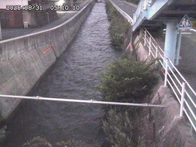 大井手川１2025/08/31 9:00:00
