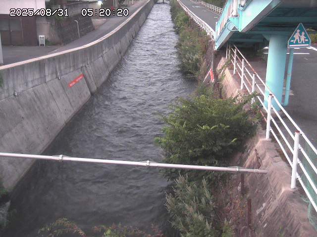 大井手川１2025/08/31 9:00:00
