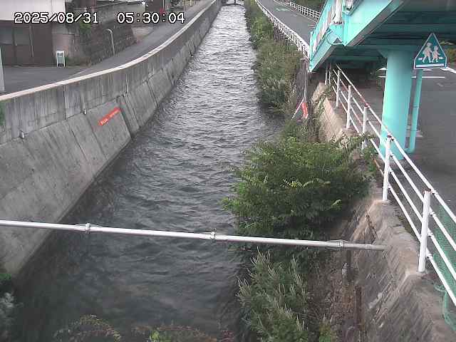 大井手川１2025/08/31 9:00:00