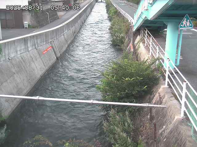 大井手川１2025/08/31 9:00:00