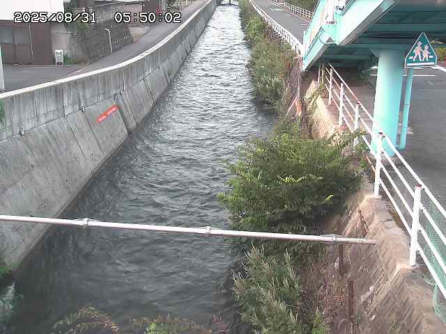 大井手川１2025/08/31 9:00:00