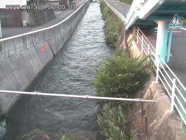 大井手川１2025/08/31 9:00:00