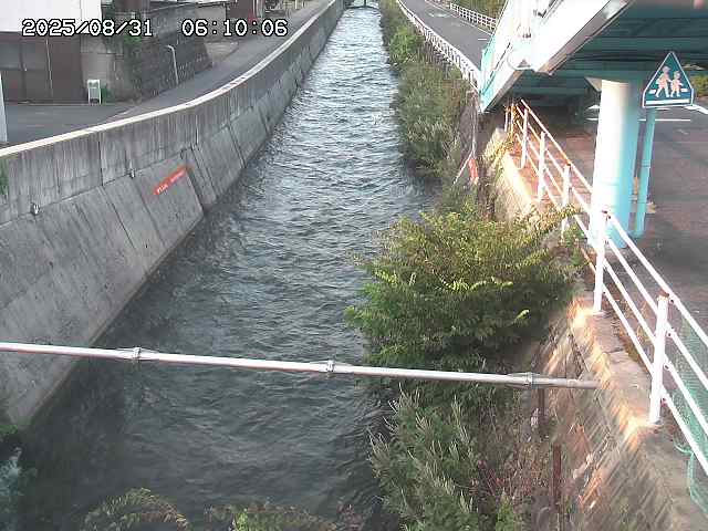 大井手川１2025/08/31 9:00:00