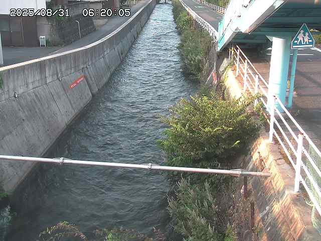 大井手川１2025/08/31 9:00:00