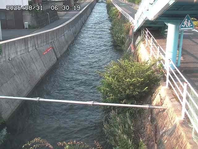 大井手川１2025/08/31 9:00:00