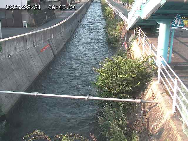 大井手川１2025/08/31 9:00:00