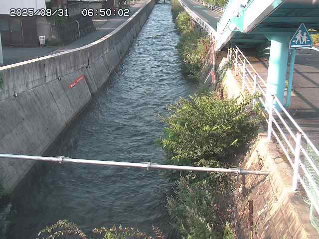 大井手川１2025/08/31 9:00:00