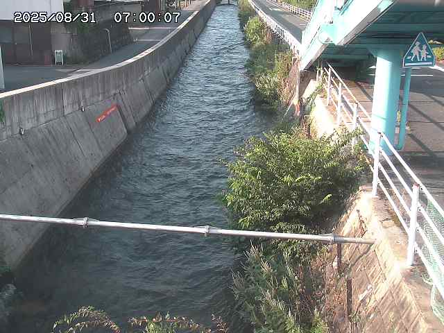 大井手川１2025/08/31 9:00:00