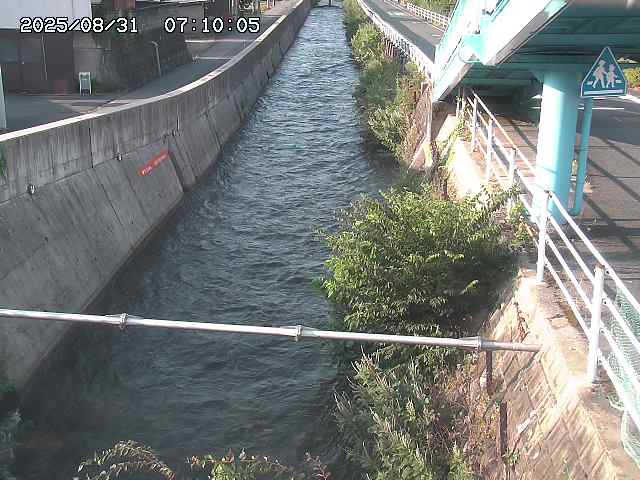 大井手川１2025/08/31 9:00:00