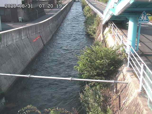 大井手川１2025/08/31 9:00:00