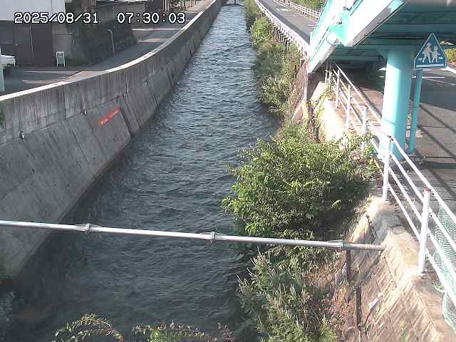 大井手川１2025/08/31 9:00:00