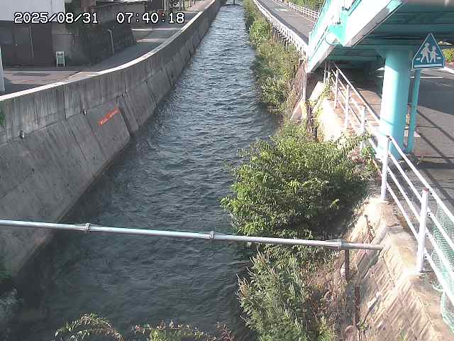 大井手川１2025/08/31 9:00:00
