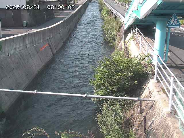 大井手川１2025/08/31 9:00:00