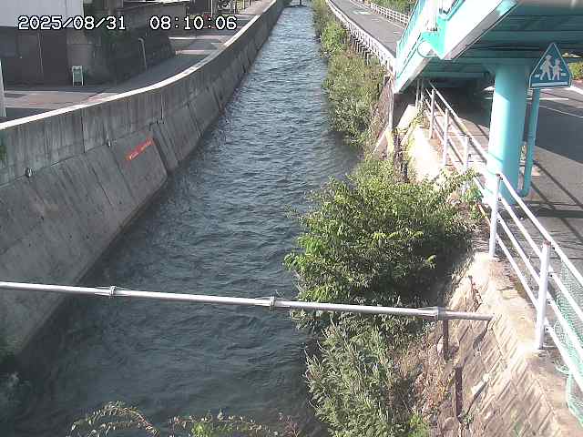 大井手川１2025/08/31 9:00:00