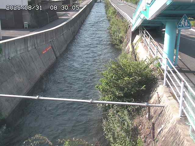 大井手川１2025/08/31 9:00:00