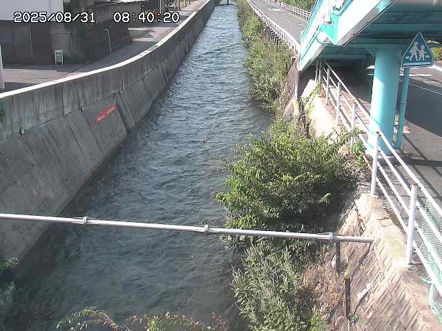 大井手川１2025/08/31 9:00:00