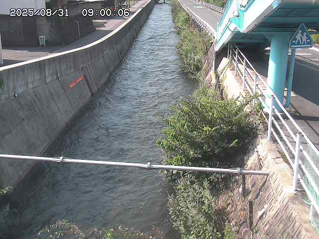 大井手川１2025/08/31 9:00:00