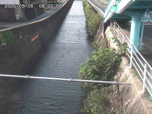 大井手川１2026/09/16 16:40:00