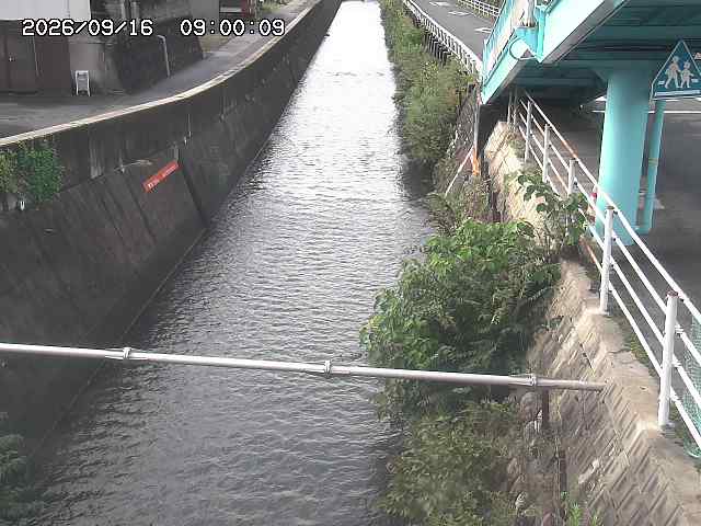 大井手川１2026/09/16 16:40:00